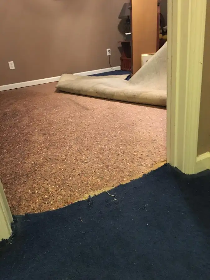 Carpet pad removal revealing water damage during Water Mitigation Services in Newtown